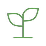 Eco Friendly Supplies