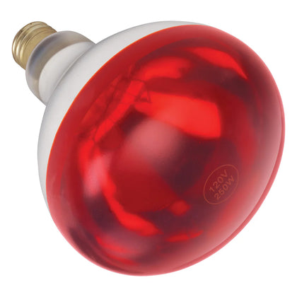 EHL-BR/BW, 250W Red and White Shatter-Resistant Bulb