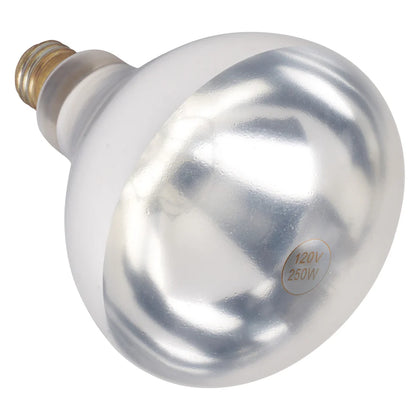 EHL-BR/BW, 250W Red and White Shatter-Resistant Bulb