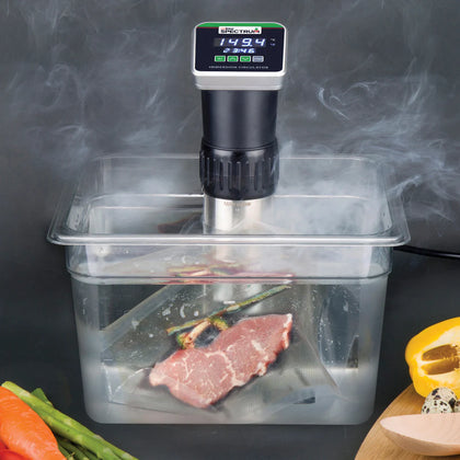 ESVI-1, 120V, 900W Sous Vide Immersion Circulator Head