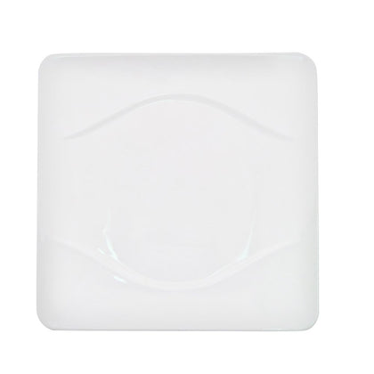 10 1/2-inch square plate, BPA-free ceramic, lightweight, shatterproof, scratch-resistant, modern square design, microwave-safe, dishwasher-safe, perfect for home, restaurants, catering, and serving.