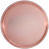 5.5 Inch Dessert Plate and 8 Inch Salad Combo Transparent Rose Plastic Plates