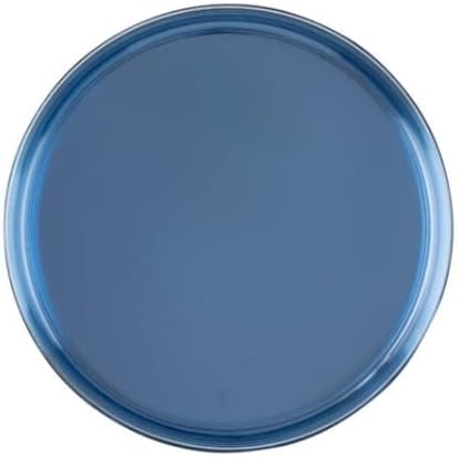 5.5 Inch Dessert Plate and 8 Inch Salad Combo Transparent Blue Plastic Plates