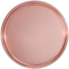 5.5 Inch Dessert Plate and 8 Inch Salad Combo Transparent Rose Plastic Plates