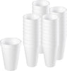 EcoQuality 10 oz white foam insulated disposable drinking cup