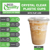 24oz Clear PLA Coffee Smoothies Cups with Flat Lids