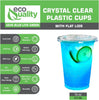 16oz Clear PLA Coffee Smoothies Cups with Flat Lids