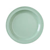 Round Dinner Plate is made from durable and reliable melamine material. You can use it for serving cakes, panna cottas, and other desserts allowing you to elevate your dining experience 
with these high quality affordable restaurant dinnerware.
