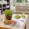 Disposable Round Aluminum Foil Takeout Pans with Clear Dome Lids