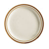 9 3/4-inch round ceramic plate with a durable, scratch-resistant surface, ideal for serving main courses, salads, appetizers, and desserts in restaurants, cafés, and home settings.