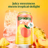 Bloom Pop 12oz Peach Pineapple Cans Beverage Pack of 12