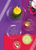 D' Vine Clear Plates – Elegant disposable plastic plates in 6.25