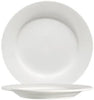 round 10 1/4 inch porcelain dinner plate for serving entrees