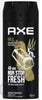 AXE Body Spray Deodorant, Gold Temptation, 150ml can with bold design and refreshing fragrance.