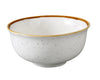 Yanco Bowl GL-305 offers a modern take on a classic design. Made from durable porcelain, it features a speckled white glaze accented by a subtle colored rim. Its versatile size makes it ideal for rice, small salads, or sides, adding both charm and practicality to any dining experience.