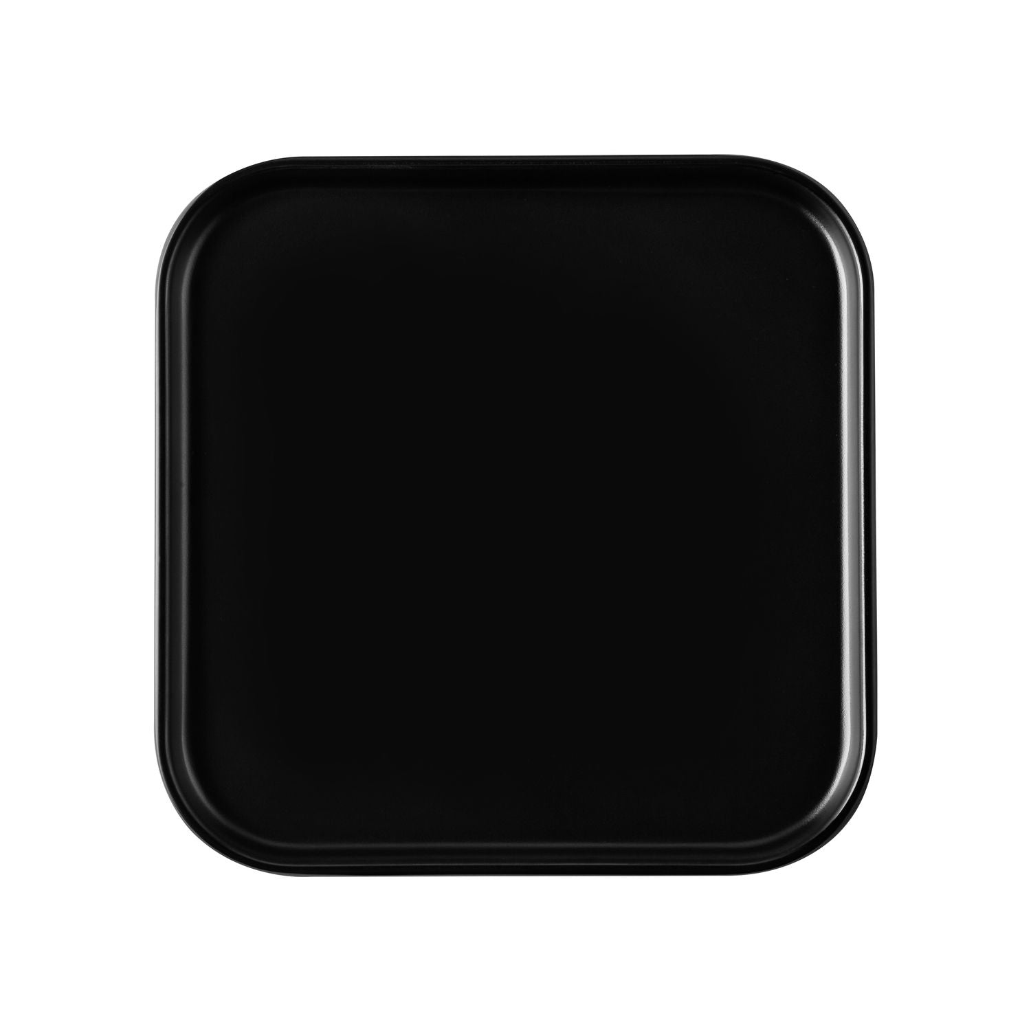 Hudson Square Straight-Side Plate Matte Black 10