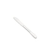 Iris Dinner Knife 8-1/8