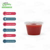 Clear Leak Proof Plastic Condiment Souffle Containers with Lids, Disposable - Perfect for Sauces, Samples, Slime, Jello Shots, Food Storage (1oz, 2oz, 3.25oz, 4oz, 5oz)