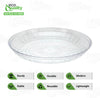 12 Inch Pixel Clear Serving Tray