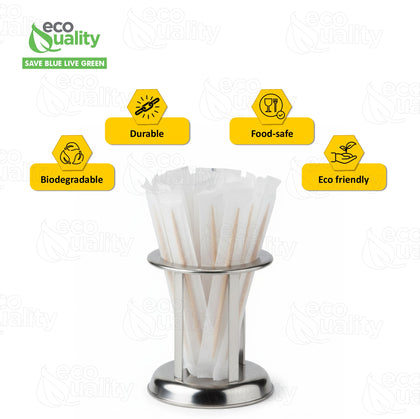Mint Wooden Toothpicks Individually Wrapped - Easy to use Dispenser - Great for Parties, Catering, Dinner, Lunch, Restaurants, Offices, Fruit Cocktails, Dessert, Barbecue and Teeth Cleaning
