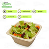 Eco Friendly Disposable Square Bowls Compostable Container