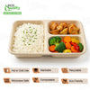 Compostable 36oz 3 Compartment Food Storage Container with Lids Sugarcane