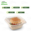 Eco Friendly Disposable Square Bowls Compostable Container with Dome Lids
