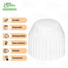 White Coffee Filters 8 / 12 Cup Size - Great for most Coffee Machines, Coffee Brewer Filters
