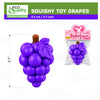Grape Fruit Squishy Toy for Party Favors, Giveaways & Gift Bags