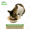 Round Compostable Bowls for Pets Disposable Dog Food Bowls Plant Fiber Pet Feeding Heavy Duty
