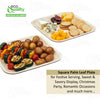 Square palm leaf plates eco friendly disposable dinnerware