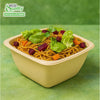 Eco Friendly Disposable Square Bowls Compostable Container