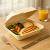 Compostable Clamshell Take Out Food Container 6x9x3
