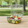 6x6 inch Clear Plastic Clamshell Take Out Food Container