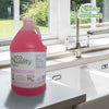 EcoQuality 1 Gallon Gentle Soft Skin Liquid Hand Soap Dispenser Refill