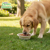 EcoQuality Compostable Dog Pet Bowls Durable Biodegradable 12oz
