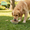 EcoQuality Compostable Dog Pet Bowls Durable Biodegradable 12oz