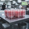 #18 Red Rubber Bands 1480pc Per Box (3