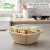 Eco Friendly Disposable Square Bowls Compostable Container with Dome Lids