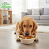 EcoQuality Compostable Dog Pet Bowls Durable Biodegradable 16oz