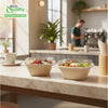 Eco Friendly Disposable Square Bowls Compostable Container with Dome Lids