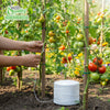 EcoQuality Polypropylene Twine 2800 Feet - Carboard Bundling, Shipping, Commercial Packaging, Center Pull Box, Tie Wrap, Tying Twine, Tomato Twine