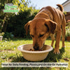 Round Compostable Bowls for Pets Disposable Dog Food Bowls Plant Fiber Pet Feeding Heavy Duty