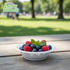 White Plastic High Impact Disposable Plastic Bowl (6oz,12oz)