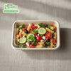 Compostable Rectangular Food Containers with Lids, Ecofriendly Take- Out, Made With Bagasse