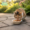EcoQuality Compostable Dog Pet Bowls Durable Biodegradable 12oz