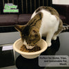 Round Compostable Bowls for Pets Disposable Dog Food Bowls Plant Fiber Pet Feeding Heavy Duty