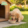 EcoQuality Compostable Dog Pet Bowls Durable Biodegradable 16oz