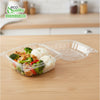 6x6 inch Clear Plastic Clamshell Take Out Food Container