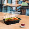 EcoQuality 9x9 inch hinged clamshell takeout container compostable